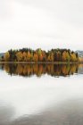 Vista panorámica de los árboles en la isla en otoño - foto de stock