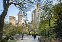 Alberi a Central Park con grattacieli sullo sfondo — Foto stock