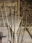 Крупним планом садові інструменти на дерев'яному фоні — стокове фото