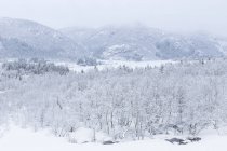 Vista panorâmica das montanhas na neve no inverno — Fotografia de Stock