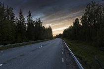 Форест Роуд під небом з хмар у Швеції — стокове фото