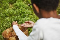 Junge mit Korb voller Heidelbeeren, selektiver Fokus — Stockfoto