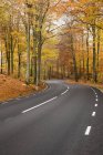 Straße im Wald, Soderasens Nationalpark — Stockfoto