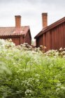 Wooden houses in north of Sweden, selective focus — Stock Photo