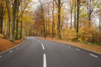 Vista panorámica de la carretera en el bosque en otoño - foto de stock