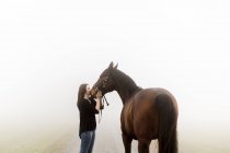 Mulher meio adulta beijando cavalo, foco seletivo — Fotografia de Stock