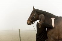 Mid-adult woman with horse on dirt road in fog — Stock Photo