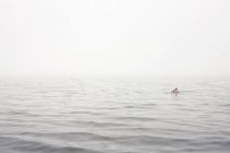 Чоловік і хлопчик, купання в морі в туманні — стокове фото