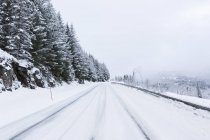 Vista panorámica de la carretera cubierta de nieve en Lofoten, Noruega - foto de stock