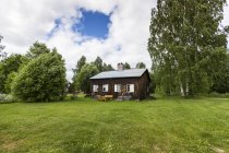 Дерев'яний будинок біля зелені дерева в на північ від Швеції — стокове фото