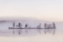 Island on lake covered in fog, northern europe — Stock Photo