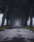 Strada vuota nella nebbia, Europa settentrionale — Foto stock