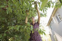Visão de baixo ângulo da mulher que trabalha no jardim — Fotografia de Stock