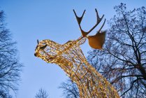 Visão de baixo ângulo de decorações de renas iluminadas — Fotografia de Stock