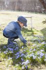 Мальчик собирает цветы, избирательный фокус — стоковое фото