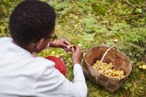 Boy with basket of mushrooms, selective focus — Stock Photo