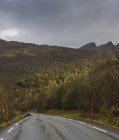 Мальовничим видом сільська дорога в Швеції — стокове фото
