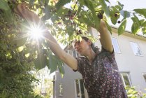 Frau arbeitet im Garten gegen Hauswand — Stockfoto