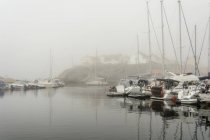 Voiliers amarrés dans le port brumeux, côte ouest suédoise — Photo de stock