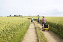 Rear view of family cycling at field at summer — Stock Photo