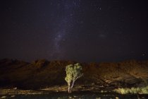 Árbol en las montañas rocosas contra el cielo nocturno estrellado - foto de stock