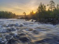 Scenic view of river in forest at sunset — Stock Photo