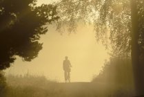 Мальовничий вид силуету людини на велосипеді в туманному лісі — стокове фото