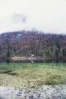 Вид на озеро в лісі — стокове фото