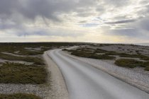 Estrada rural com duas vias em Digerhuvud, Suécia — Fotografia de Stock