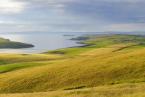 Paesaggio costiero di campo nelle Shetland, Scozia — Foto stock