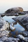 Formações rochosas por água, arquipélago de stockholm — Fotografia de Stock