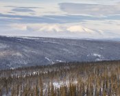 Floresta e montanhas durante o inverno em Hedmark, Suécia — Fotografia de Stock