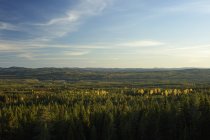 Vue panoramique sur la forêt, Sodra Garberg — Photo de stock
