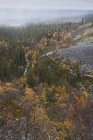 Vista panorâmica da floresta de outono no Parque Nacional Fulufjallets — Fotografia de Stock