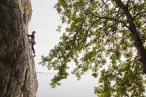 Seitenansicht eines erwachsenen Mannes, der Klippe klettert — Stockfoto