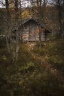 Дерев'яна кабіна в лісі на Fulufjallets Національний парк — стокове фото