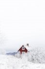 Дом и деревья зимой, северная Европа — стоковое фото