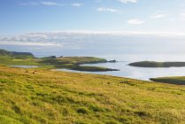 Paesaggio costiero in estate nelle Shetland, Scozia — Foto stock