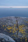 Roca erosionada con agua de fondo, archipiélago de Estocolmo - foto de stock