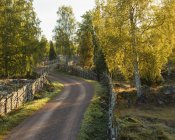 Scenic view of rural road, sweden — Stock Photo