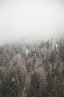 Fog above trees in La Thulie, Italy — Stock Photo