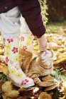 Femme en bottes en caoutchouc caressant chat, mise au point sélective — Photo de stock