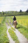 Vue arrière de la femme équitation cheval — Photo de stock