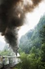 Train leaving smoke, selective focus — Stock Photo