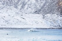 Surfistas em Lofoten, Noruega — Fotografia de Stock
