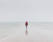 Personne marchant sur la plage en hiver à Falsterbo, Suède — Photo de stock