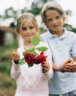 Крупним планом червоні троянди, хлопчик і дівчинка на задньому плані — стокове фото
