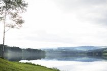 Мальовничий вид на ландшафт з дерева берези і озеро — стокове фото