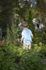 Rear view of boy outdoors, selective focus — Stock Photo