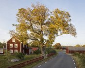 Vista panorâmica das casas ao longo da estrada rural — Fotografia de Stock